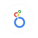 Looker Studio Icon