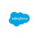 Salesforce Icon